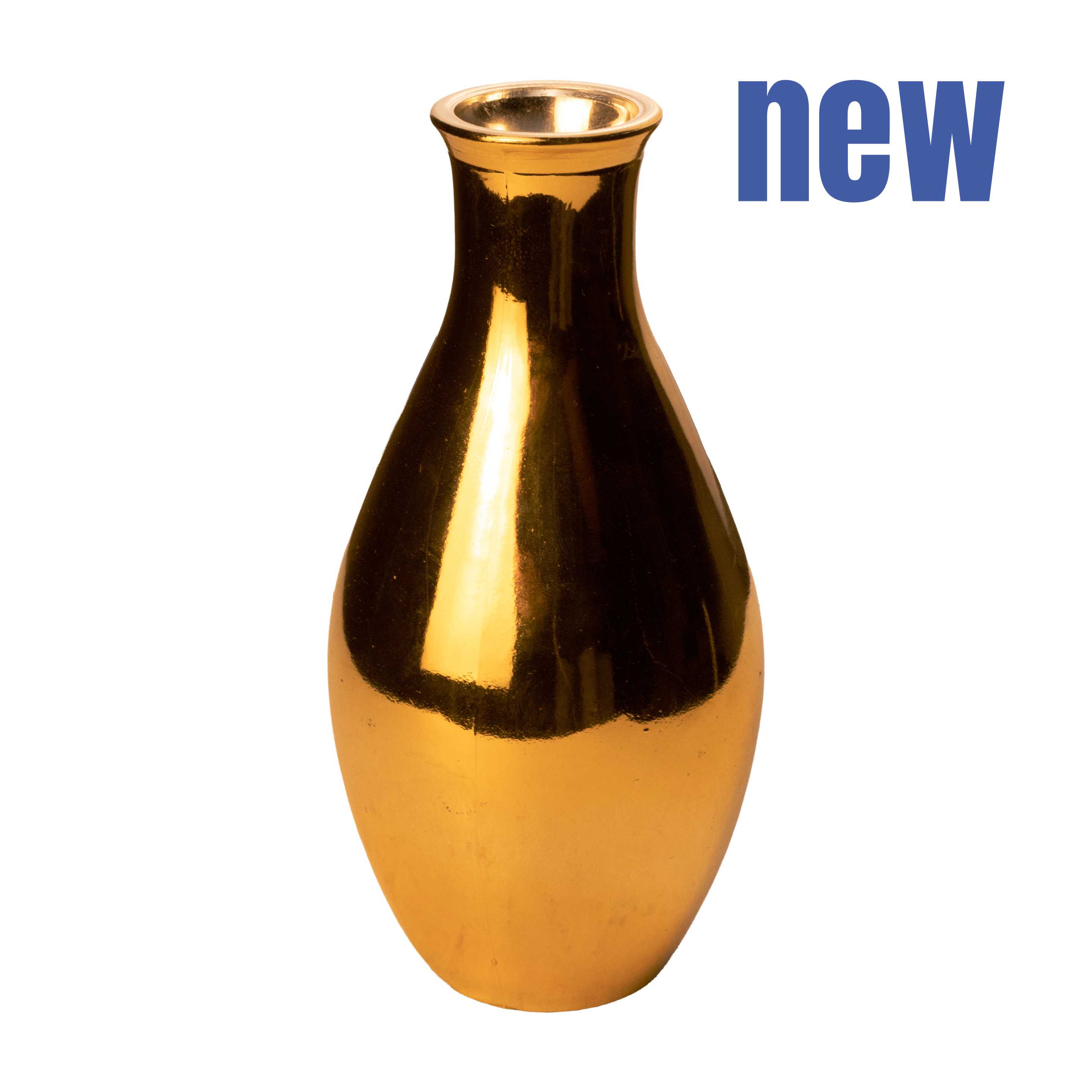 Туя западная Ауреа Нана